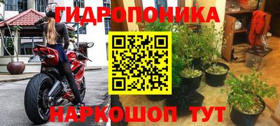 jwh Гусиноозёрск