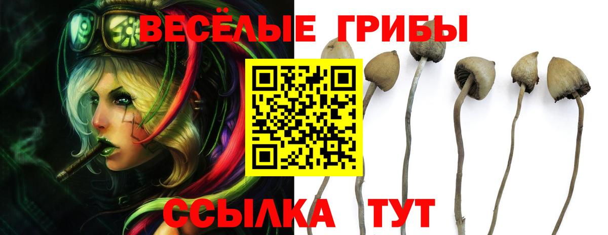 Галлюциногенные грибы ЛСД Вязьма